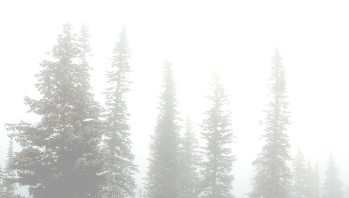 Great Northwest Inspections - Home Inspections