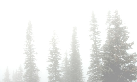 Great Northwest Inspections - Home Inspections